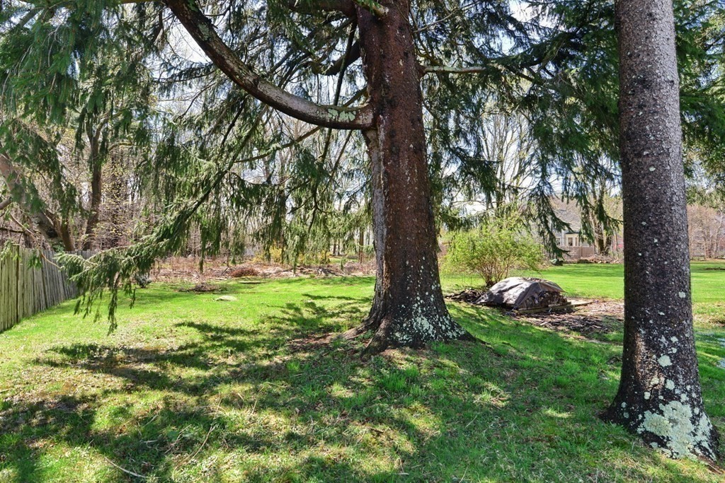 9 Ray Avenue Bellingham, MA 02019 - Photo 29 of 32 a view of backyard with green space