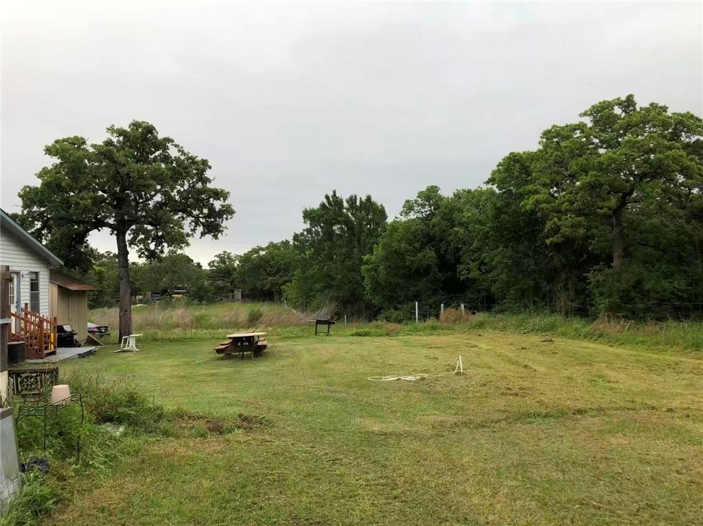 11047 North Dowling Road College Station, TX 77845 - Photo 4 of 23