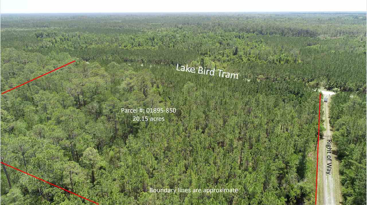 911 Circle Block Loop Road Greenville, FL 32331 - Photo 1 of 10 Gallery Image 1