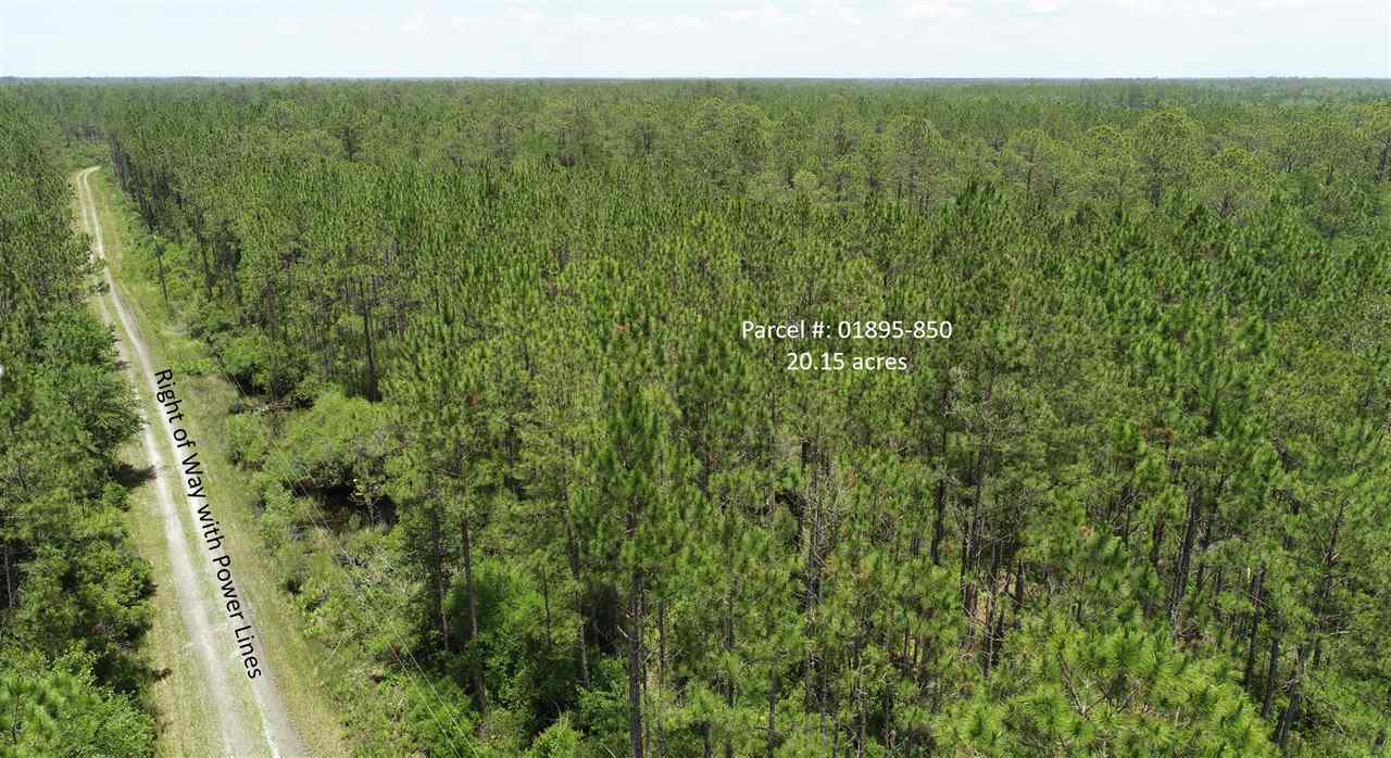 911 Circle Block Loop Road Greenville, FL 32331 - Photo 3 of 10 Gallery Image 3