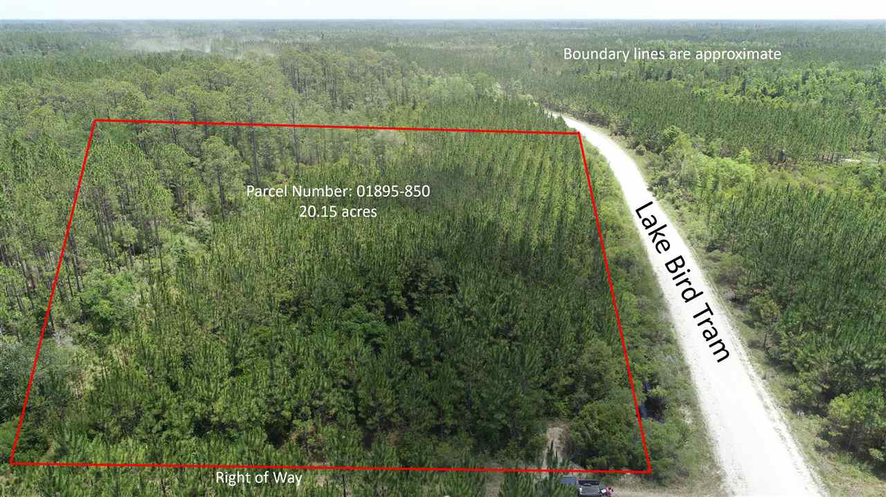 911 Circle Block Loop Road Greenville, FL 32331 - Photo 5 of 10 Gallery Image 5