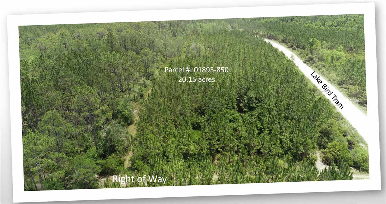 911 Circle Block Loop Road Greenville, FL 32331 - Photo 6 of 10 Gallery Image 6