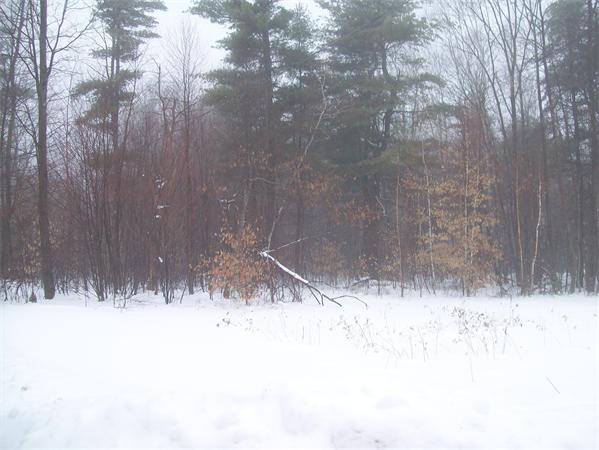 1 Old Stage Road Wendell, MA 01379 - Photo 11 of 16 Gallery Image 11