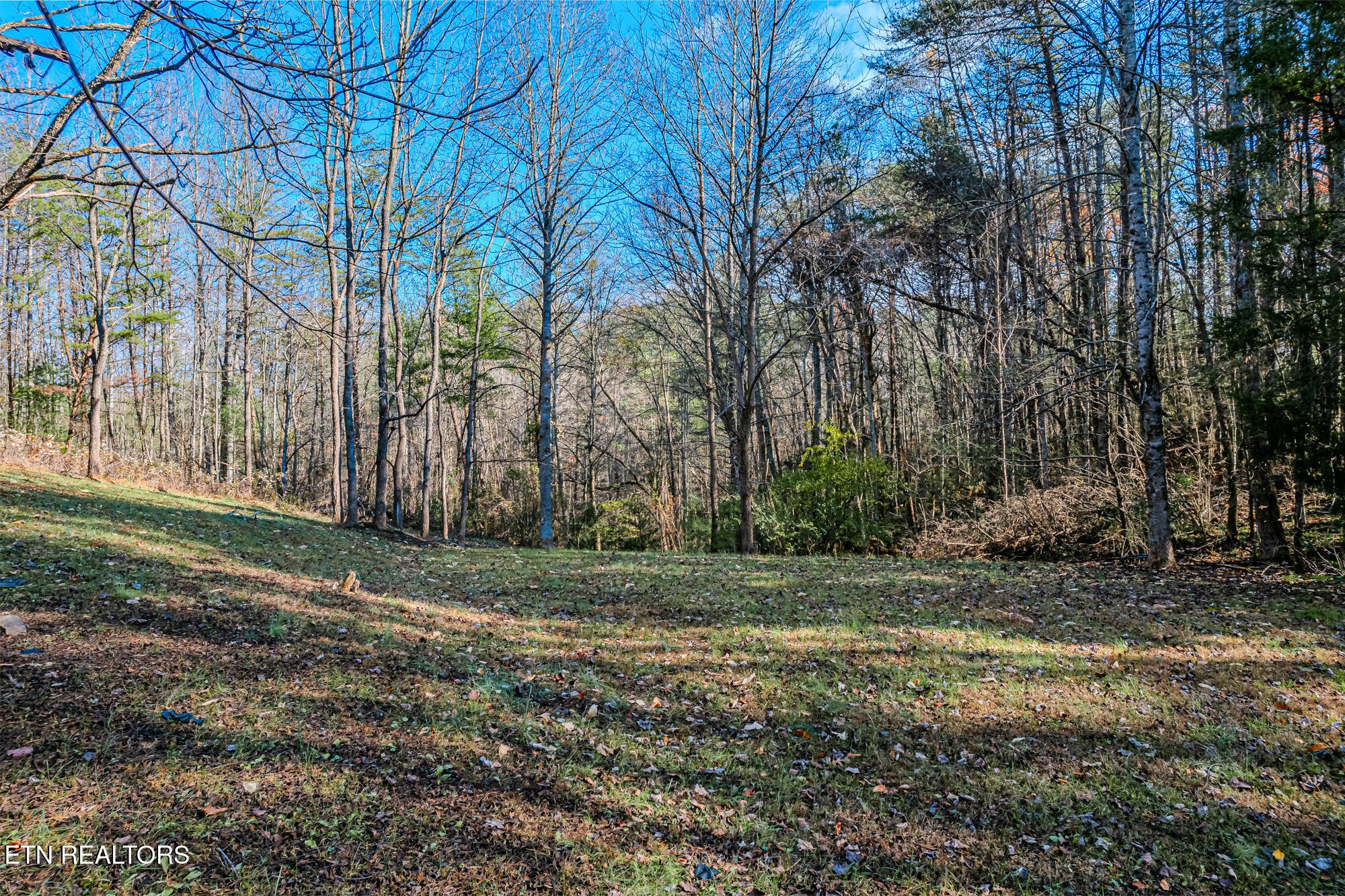 0 Pond Ridge Road Tellico Plains, TN 37385 - Photo 12 of 32