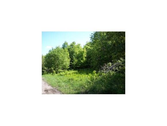 Lot 12 Haynes Road Stewartstown, NH 03576 - Photo 2 of 3