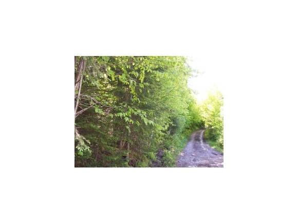 Lot 12 Haynes Road Stewartstown, NH 03576 - Photo 3 of 3