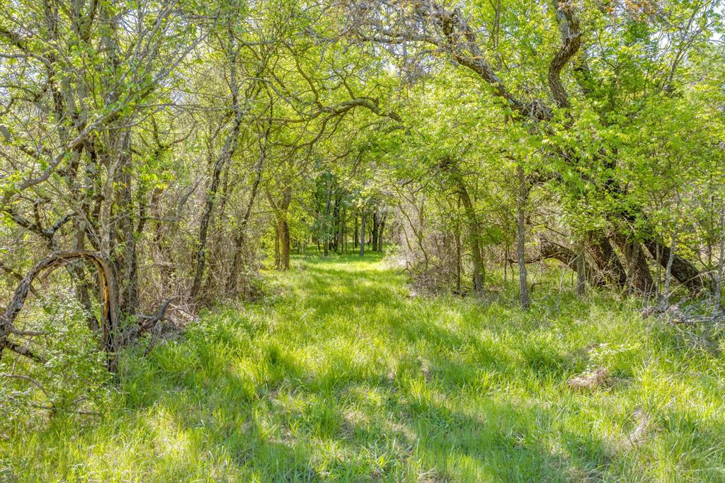 Tbd Teague Road Jacksboro, TX 76458 - Photo 10 of 33