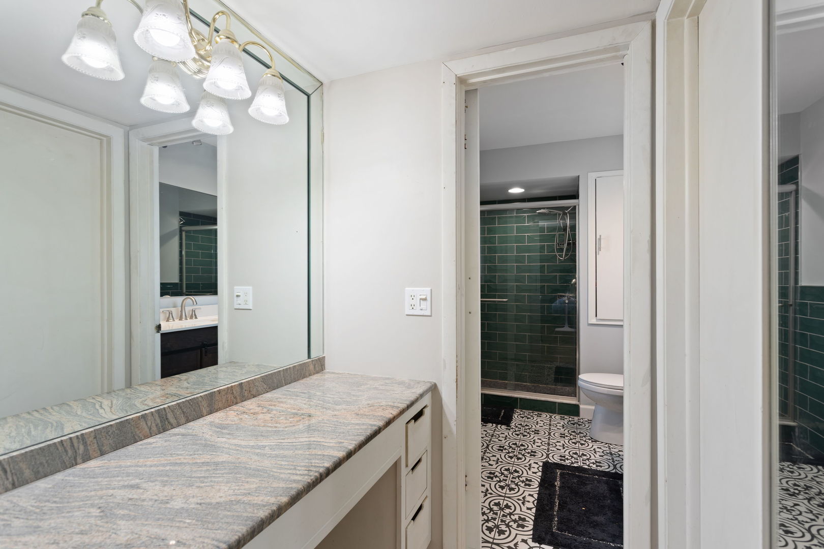 1031 Conrad Court Elk Grove Village, IL 60007 - Photo 12 of 17