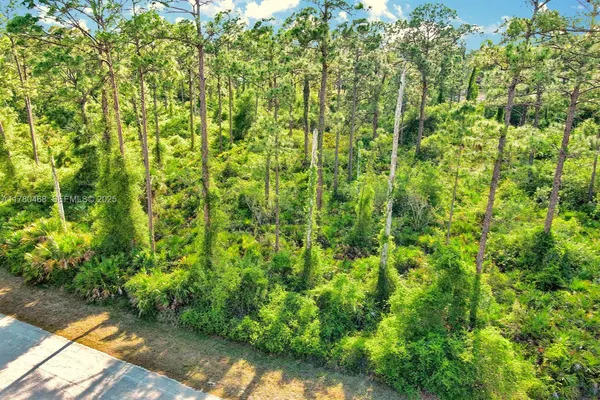 a view of a garden