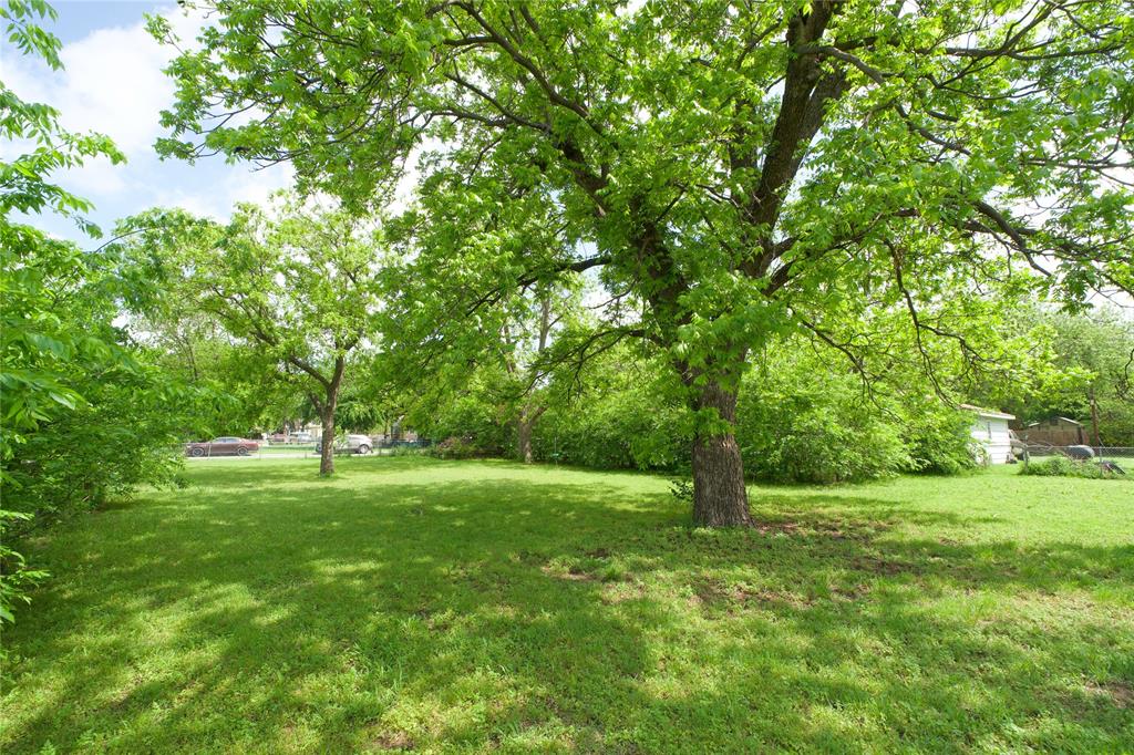714 Potter Street Gainesville, TX 76240 - Photo 6 of 12 The property features a spacious lawn with mature trees and lush green foliage