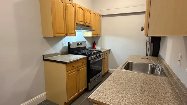 a kitchen with a sink a stove and cabinets