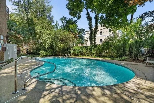 a view of a swimming pool with a yard