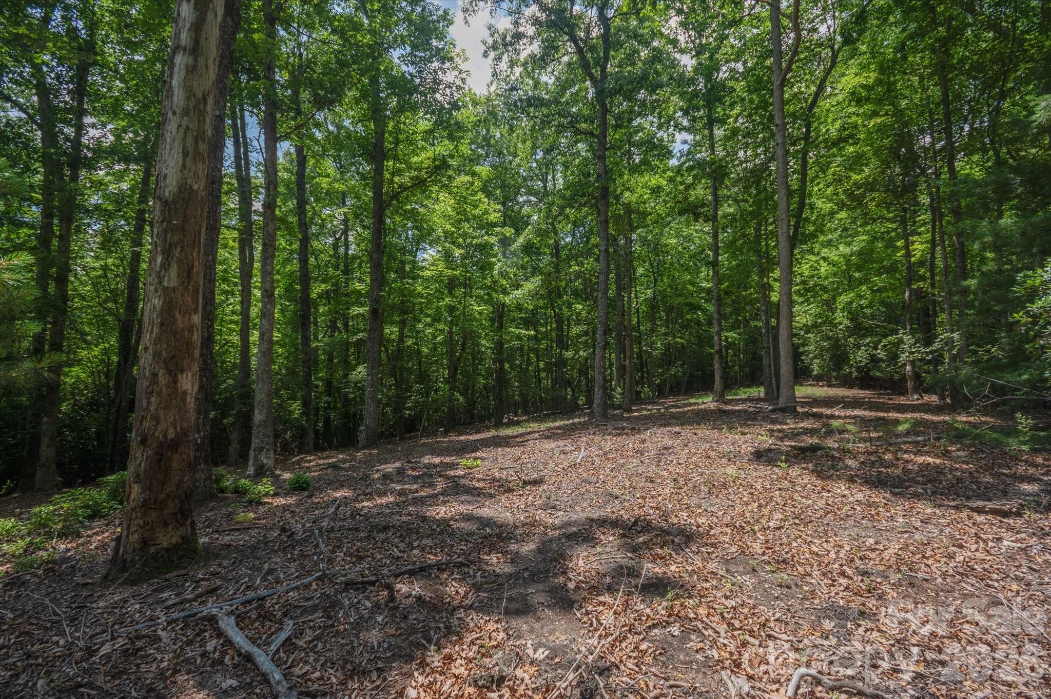 Tbd Reserve Road, Unit 16 Pisgah Forest, NC 28768 - Photo 16 of 18