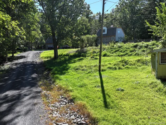 a view of a park with large trees