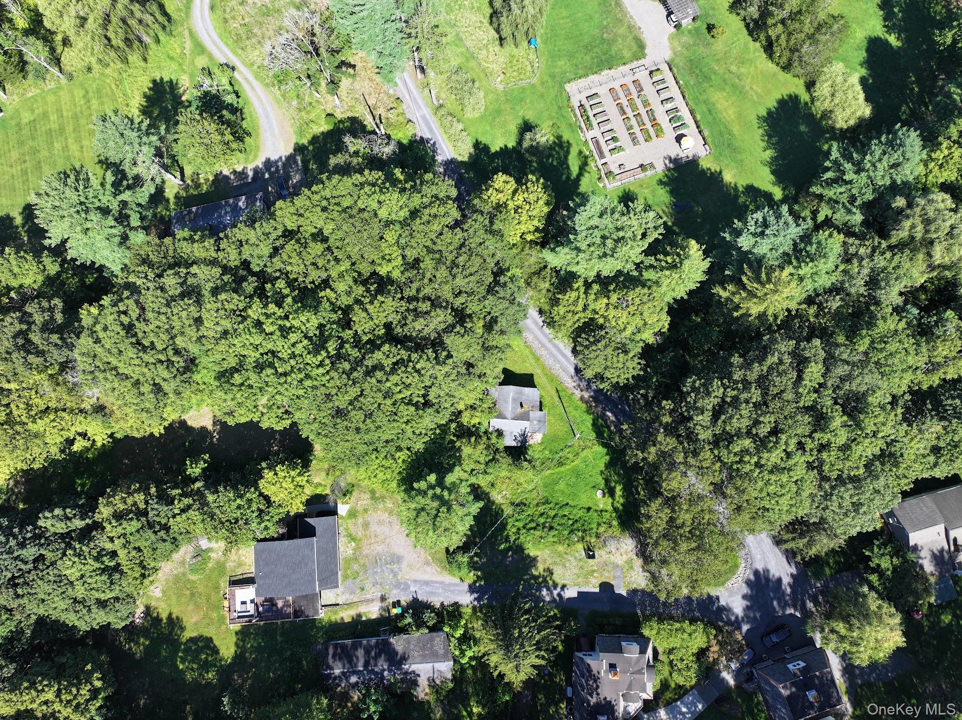 18 Denu Way Rhinecliff, NY 12574 - Photo 3 of 17 a plant that is in a garden