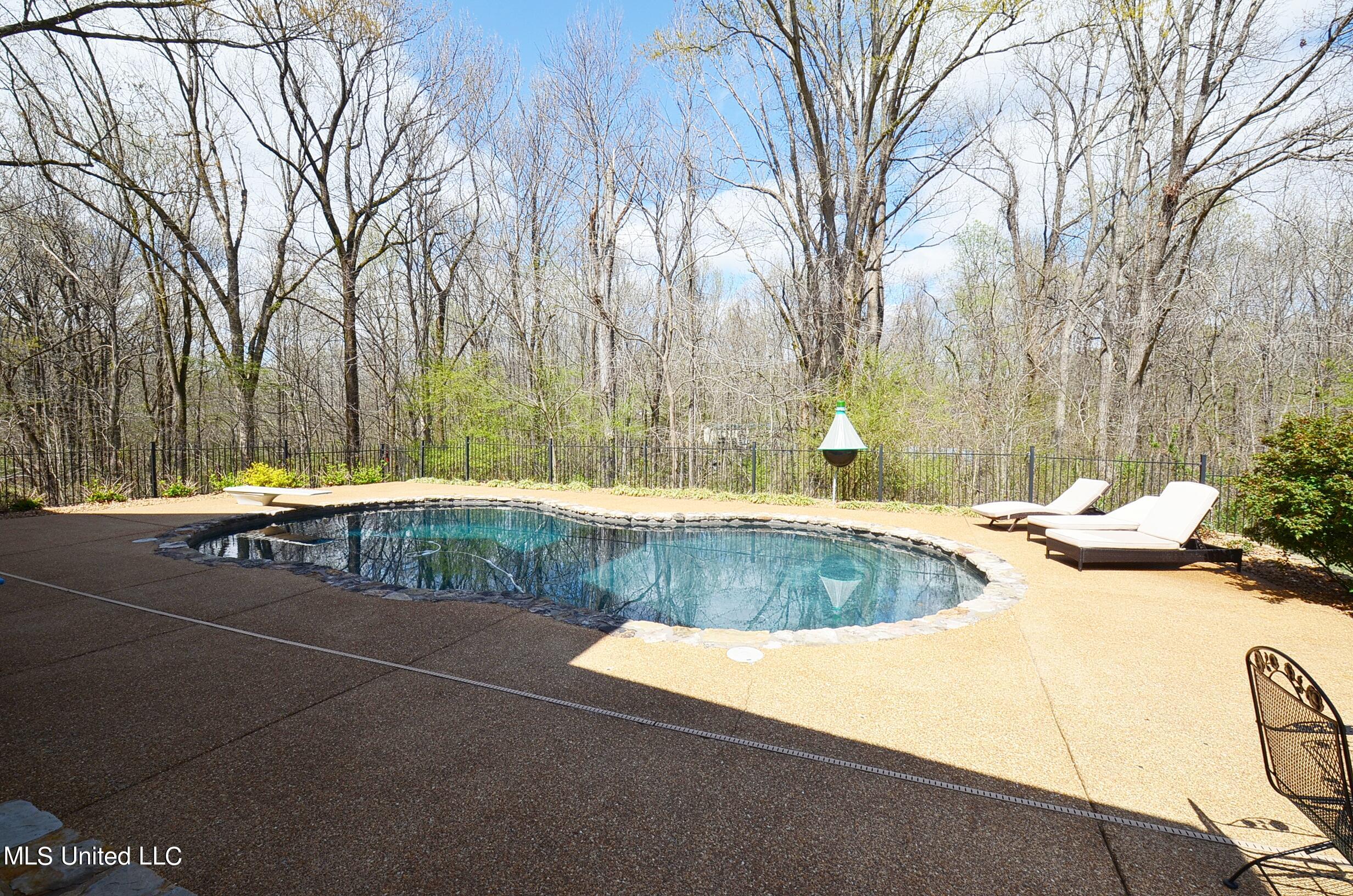 4080 Bluff Road Hernando, MS 38632 - Photo 41 of 45 Inground pool