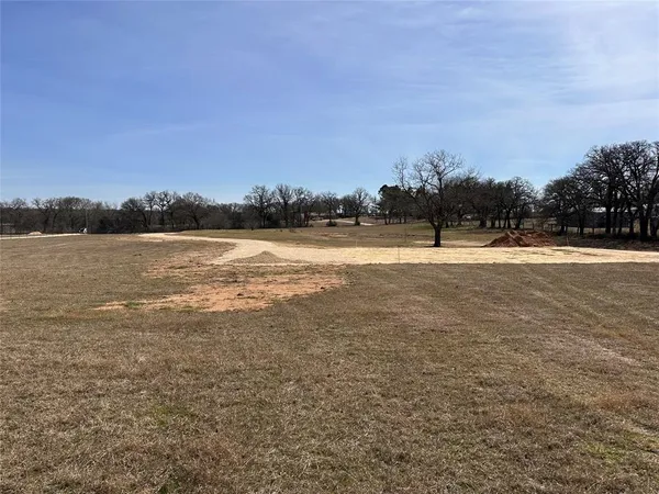 a view of a field with an trees