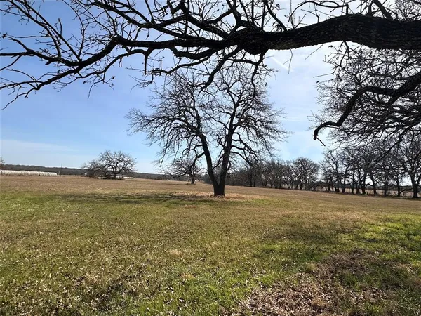 a view of yard with tree