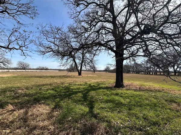 a view of yard with trees