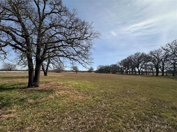 a view of yard with trees