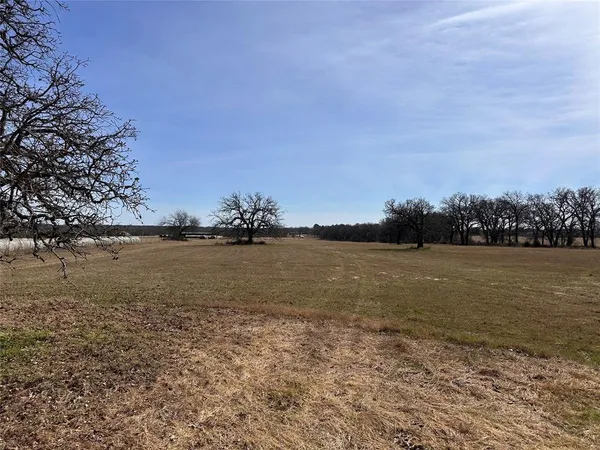 a view of dirt field with trees