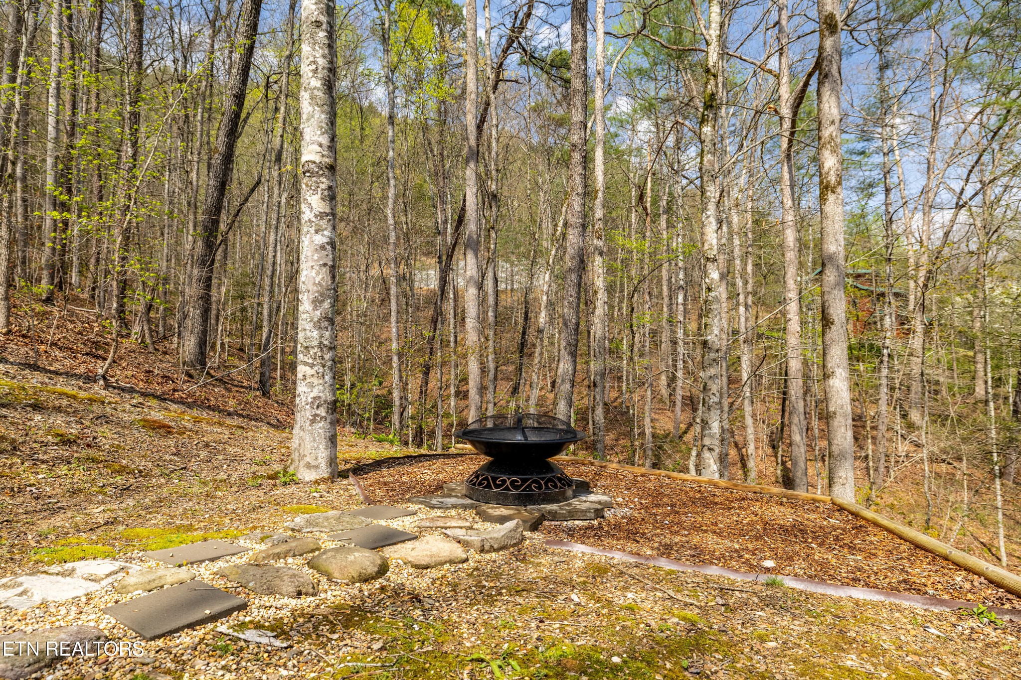 236240 Long Branch Road Townsend, TN 37882 - Photo 8 of 47 Gallery Image 8