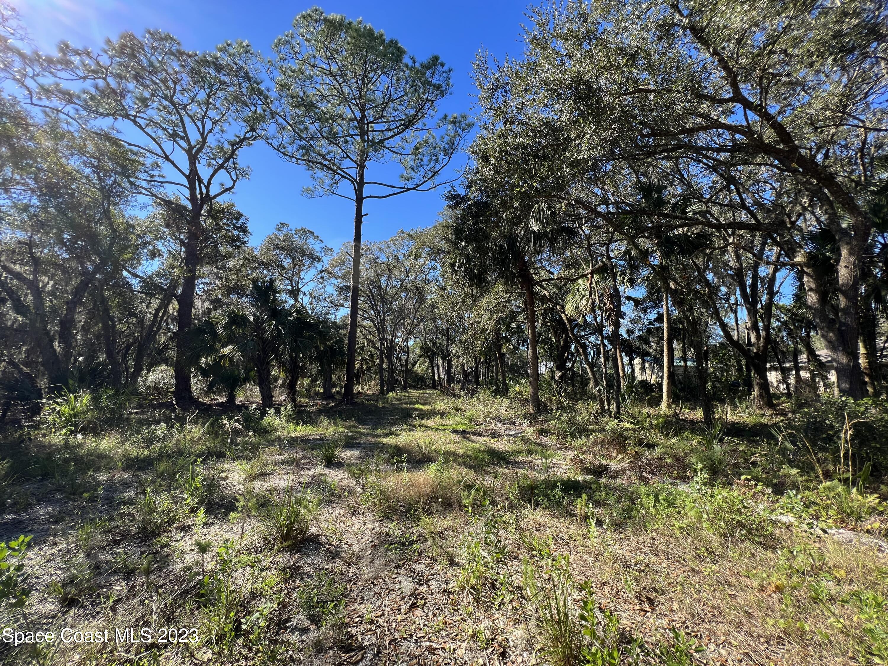 1665 Arch Road Mims, FL 32754 - Photo 16 of 22 95C7E452-5915-4811-9902-6D0E8EACEAC8