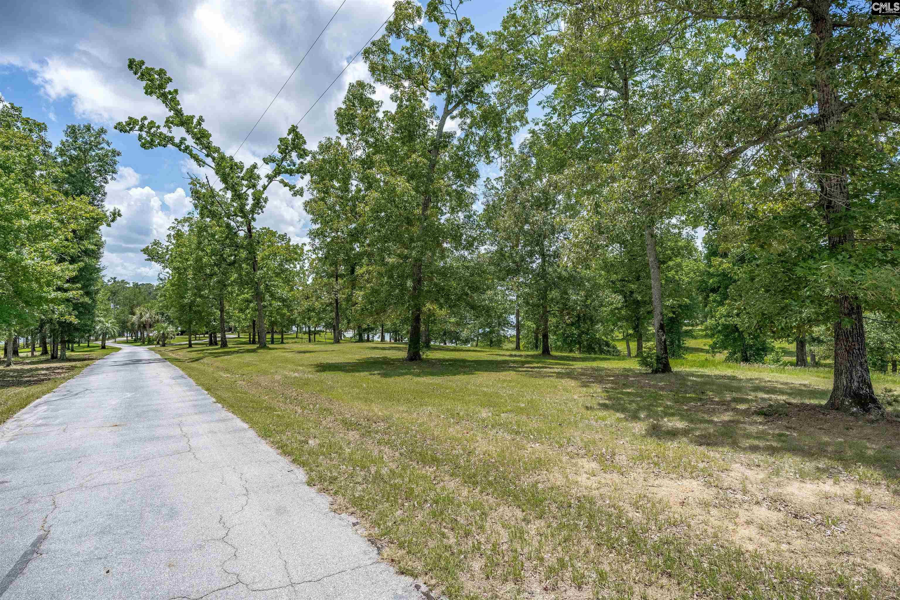 165 St Thomas Church Road Chapin, SC 29036 - Photo 74 of 99