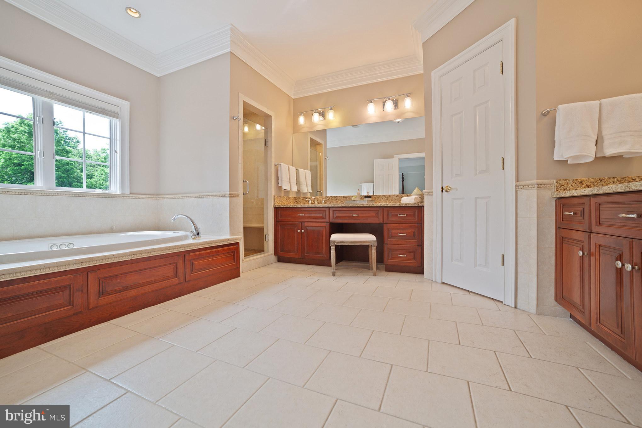2024 Dixon Road Frederick, MD 21704 - Photo 10 of 30 Owners Bathroom