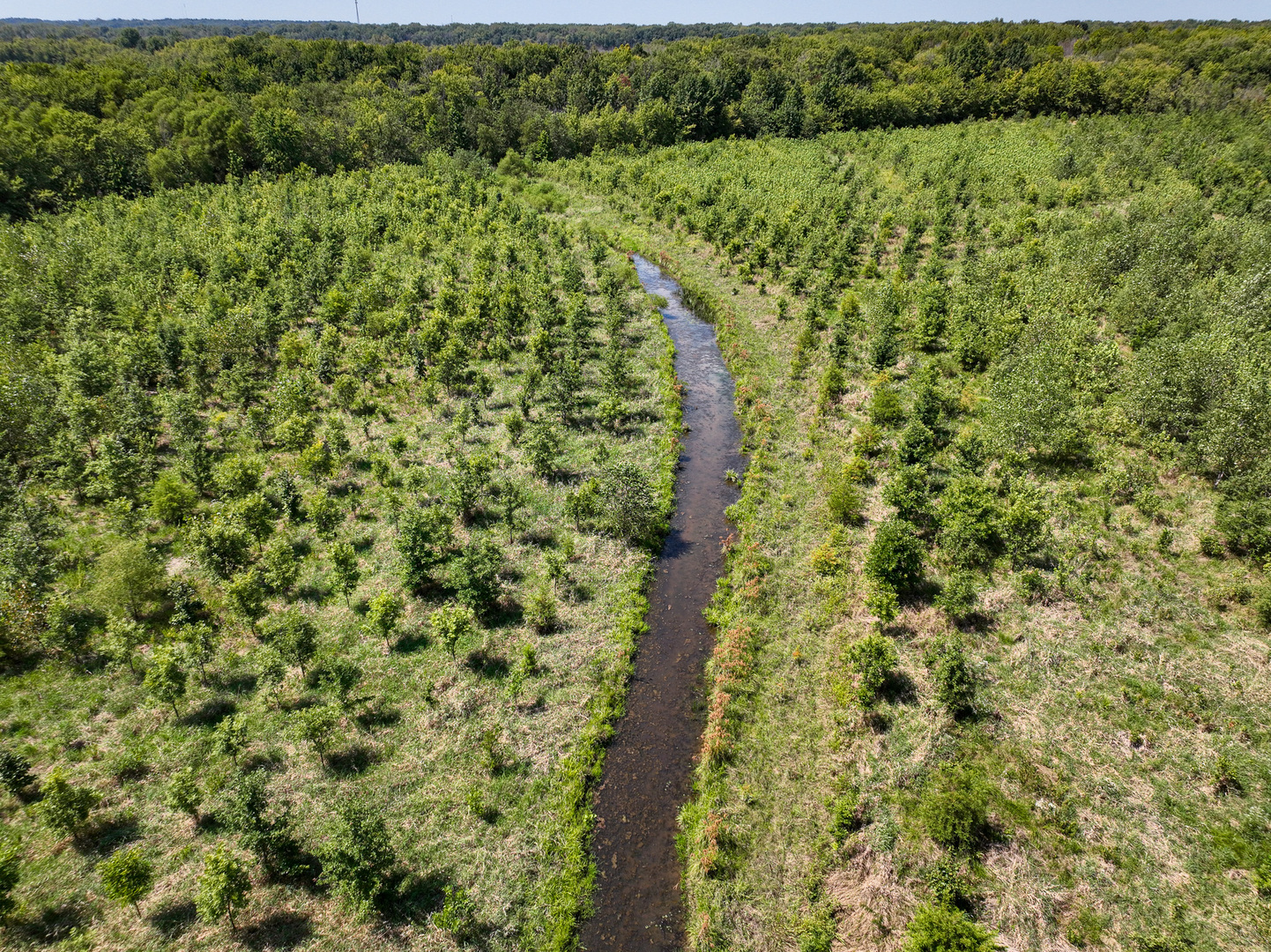 Tract 4 Mayflower Road Clay City, IL 62824 - Photo 11 of 52 a view of a forest with a lake