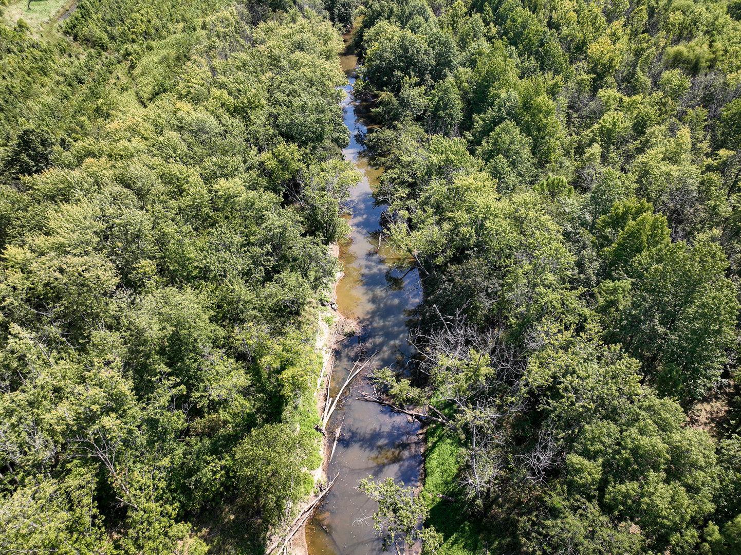 Tract 4 Mayflower Road Clay City, IL 62824 - Photo 12 of 52 an aerial view of residential house with outdoor space and trees all around