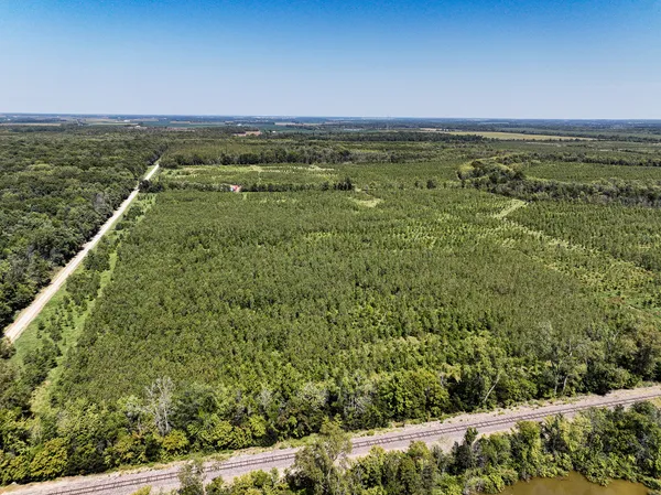 a view of a field with an ocean