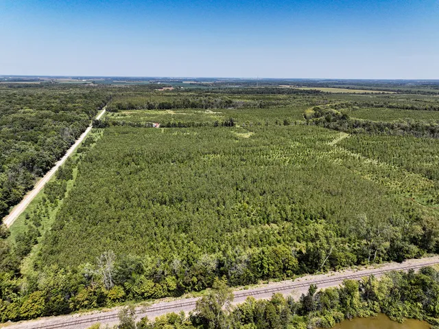 a view of a field with an ocean