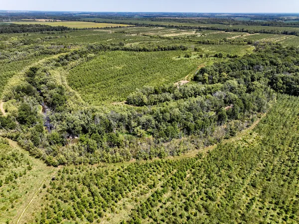 an aerial view of mountain with trees