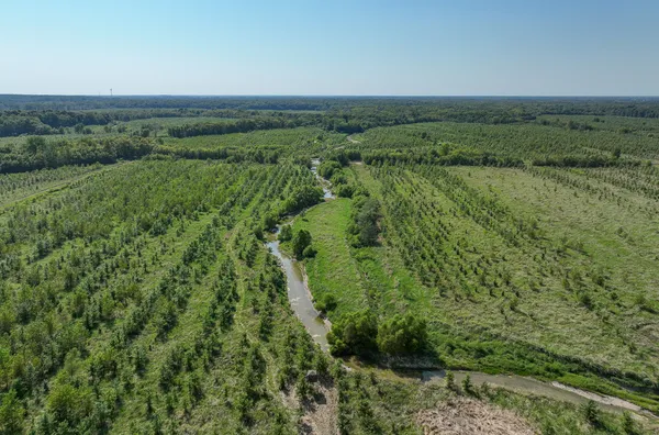 a view of a lush green outdoor space with a lake view
