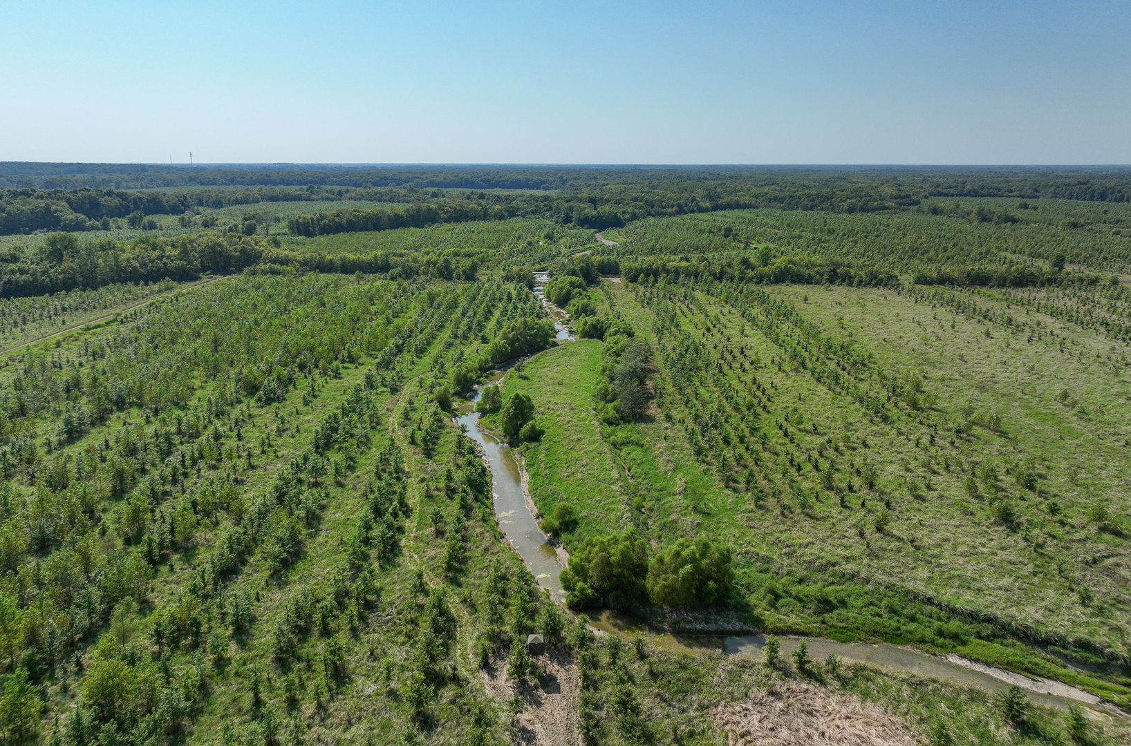 Tract 4 Mayflower Road Clay City, IL 62824 - Photo 16 of 52 a view of a lush green outdoor space with a swimming pool and valleys in the background