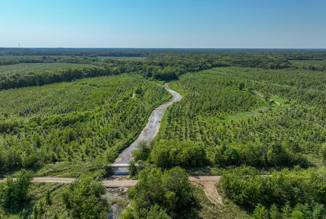a view of a green field