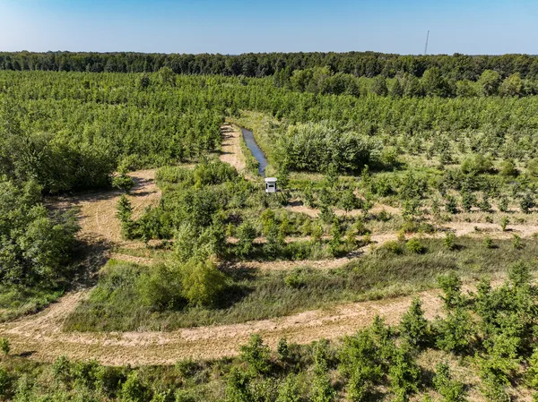 a view of a green field with lots of bushes