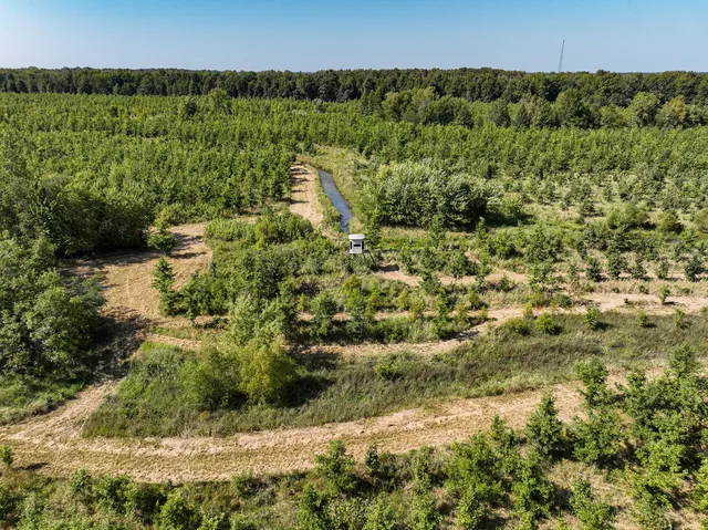 a view of a green field with lots of bushes