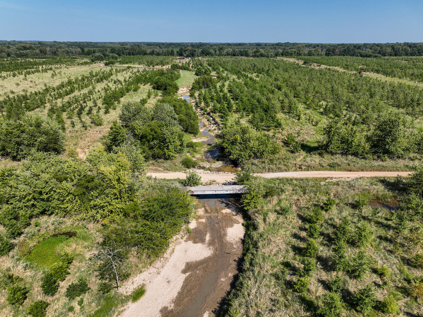 Tract 4 Mayflower Road Clay City, IL 62824 - Photo 20 of 52 a view of a yard with an outdoor space