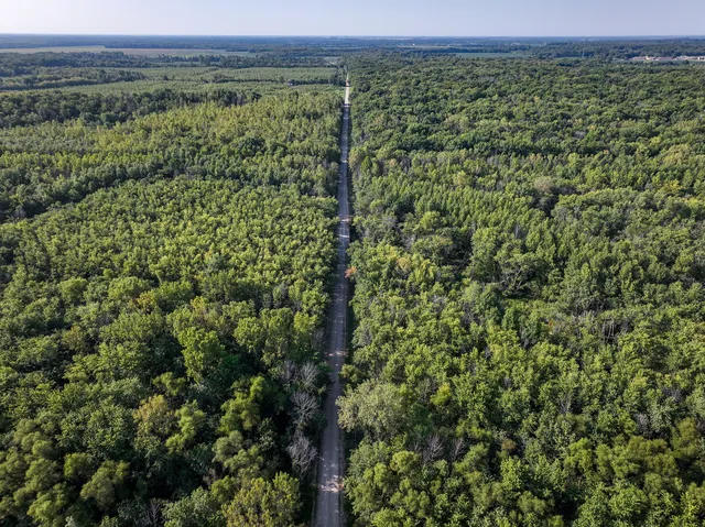 a view of a green field with lots of bushes