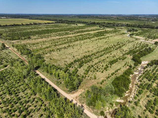 a view of an ocean and beach