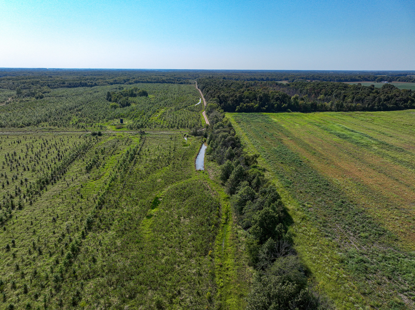 Tract 4 Mayflower Road Clay City, IL 62824 - Photo 25 of 52 a view of yard with ocean