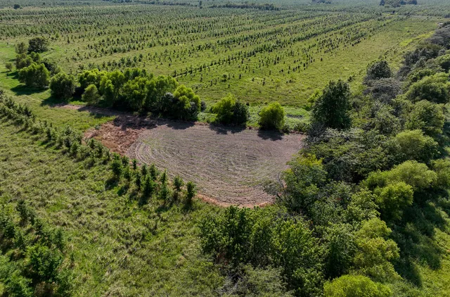 a view of a city with an ocean