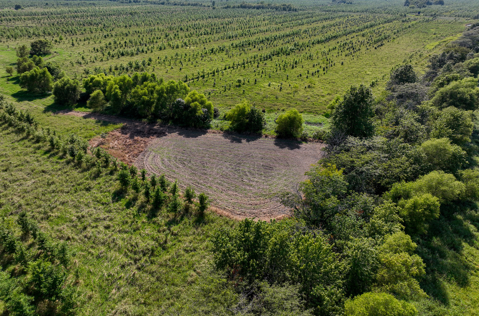 Tract 4 Mayflower Road Clay City, IL 62824 - Photo 27 of 52 a view of a garden with a building
