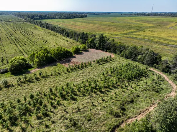 a view of a green field with lots of bushes