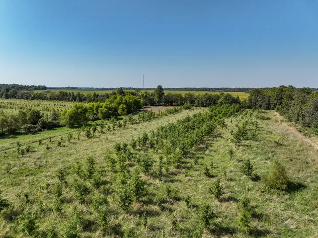 a view of a lake with houses in the back