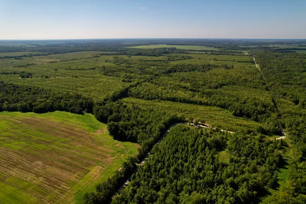 a view of a field with an ocean