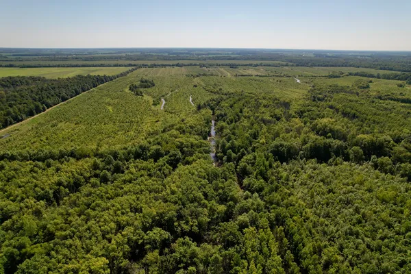 a view of a pathway both side of grassy field with shrub
