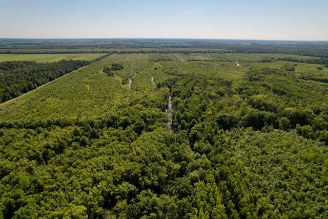 a view of a pathway both side of grassy field with shrub